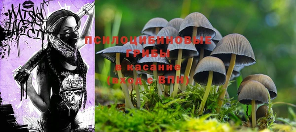MDMA Армянск