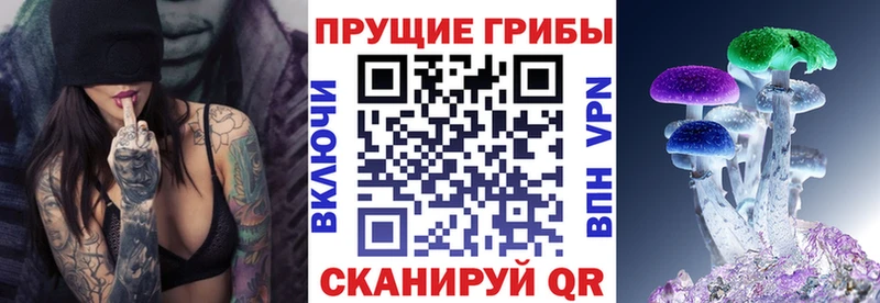 Галлюциногенные грибы прущие грибы  Яблоновский 